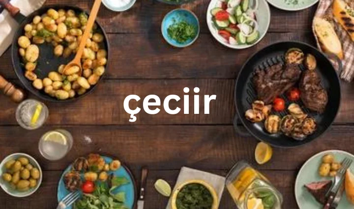 All Information About çeciir