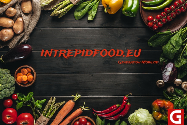 What is Intrepidfood.eu? All information about