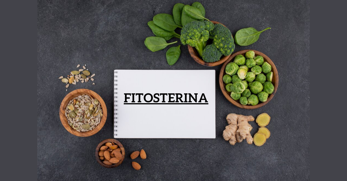 Fitosterina: Guide to its Types, Sources, and Health Benefits