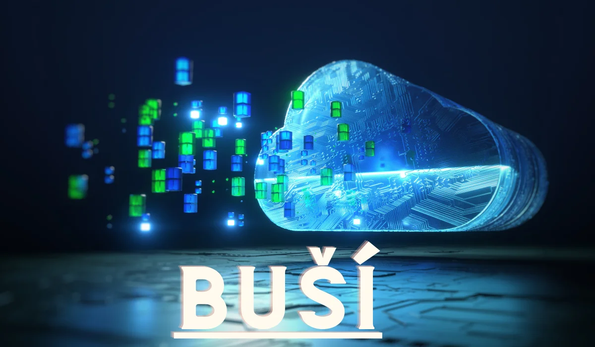 What is Buší: A Complete Guide