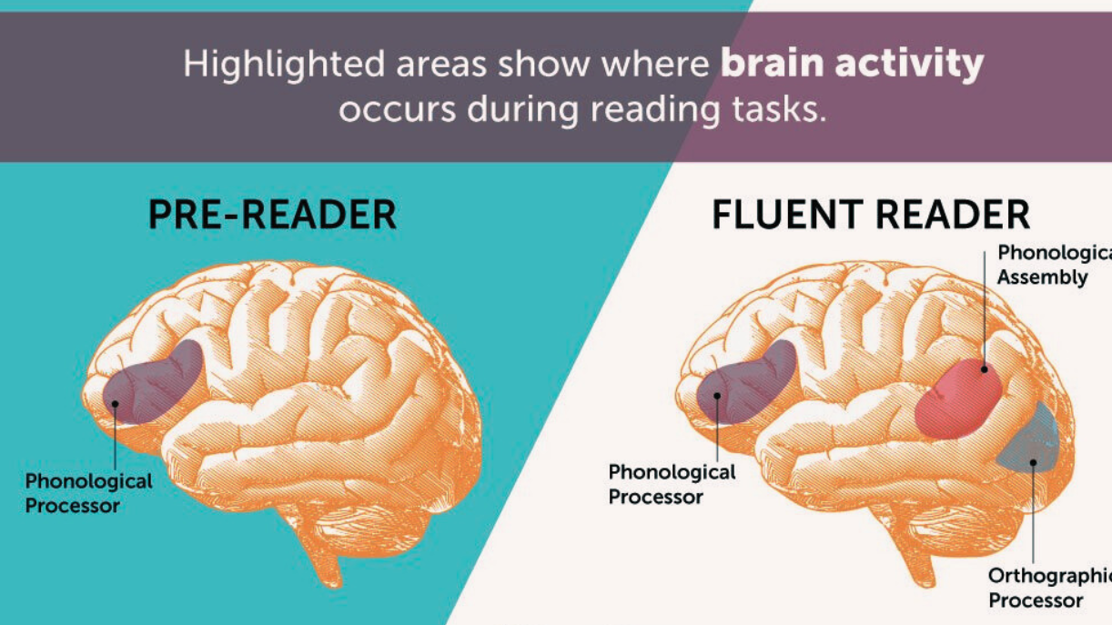 What Happens When You Start Reading Every Day