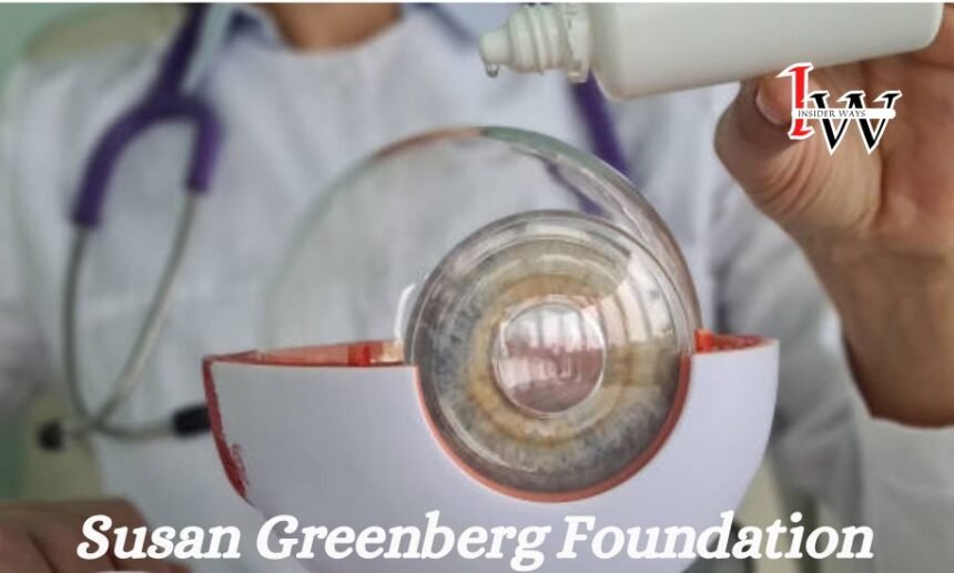 A Deep Dive into the Susan Greenberg Foundation